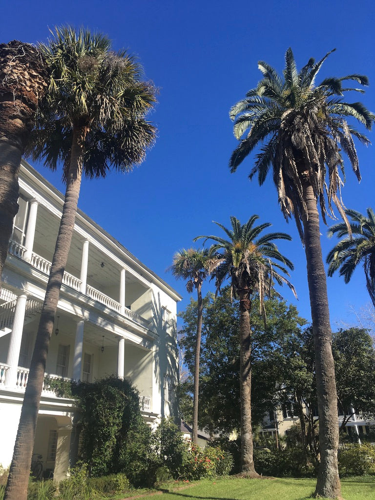Sightseeing Spots in Charleston, SC