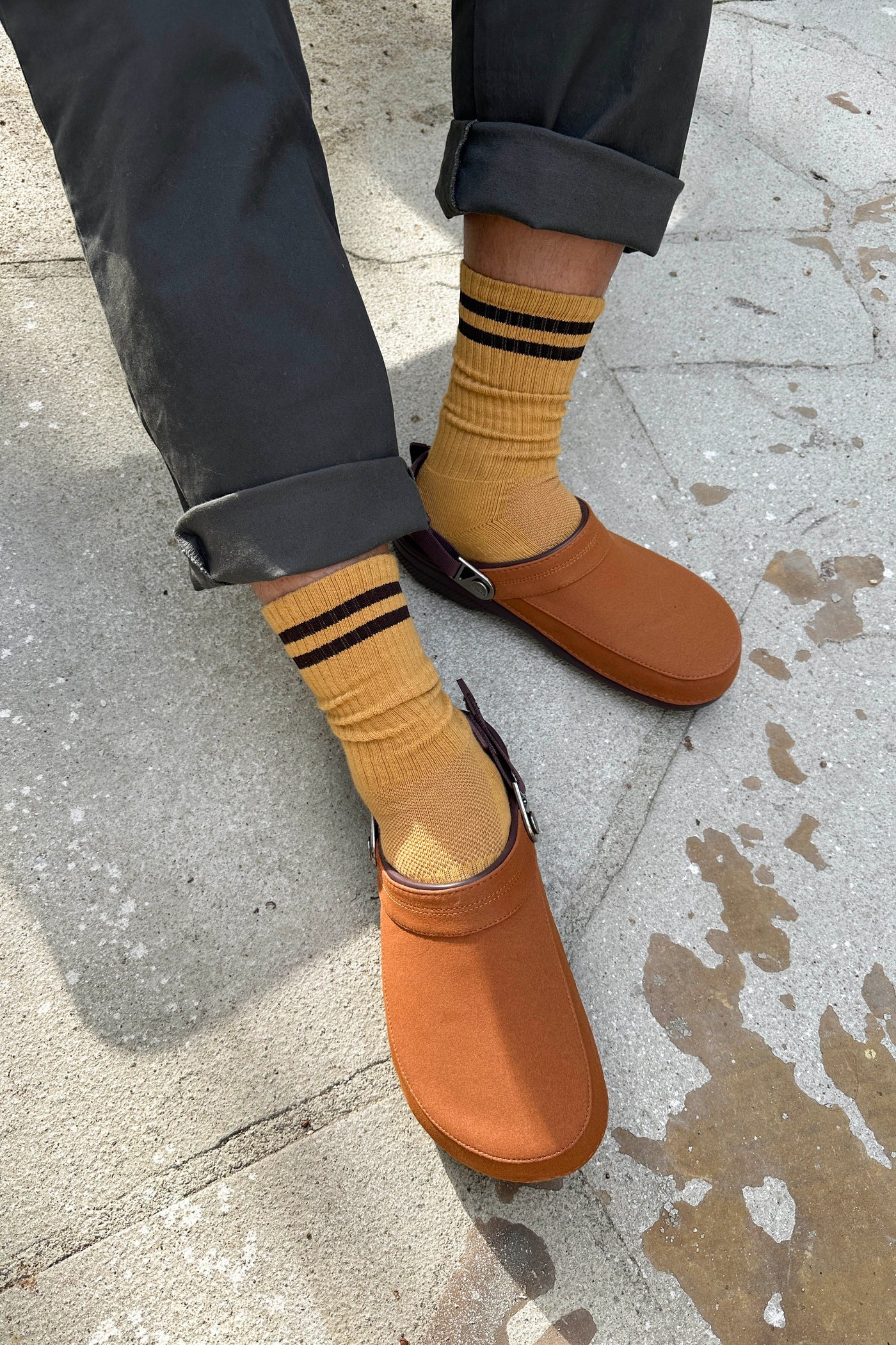 Extended Size Boyfriend Socks - Biscotti