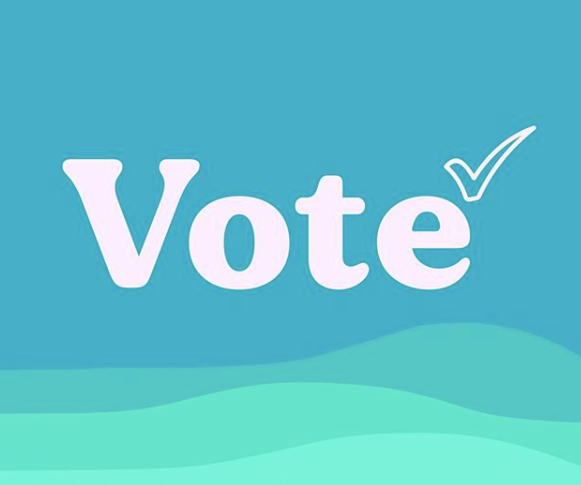 Important Charleston Voting Info