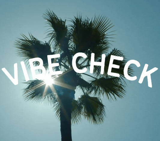 Vibe Check: Issue 1
