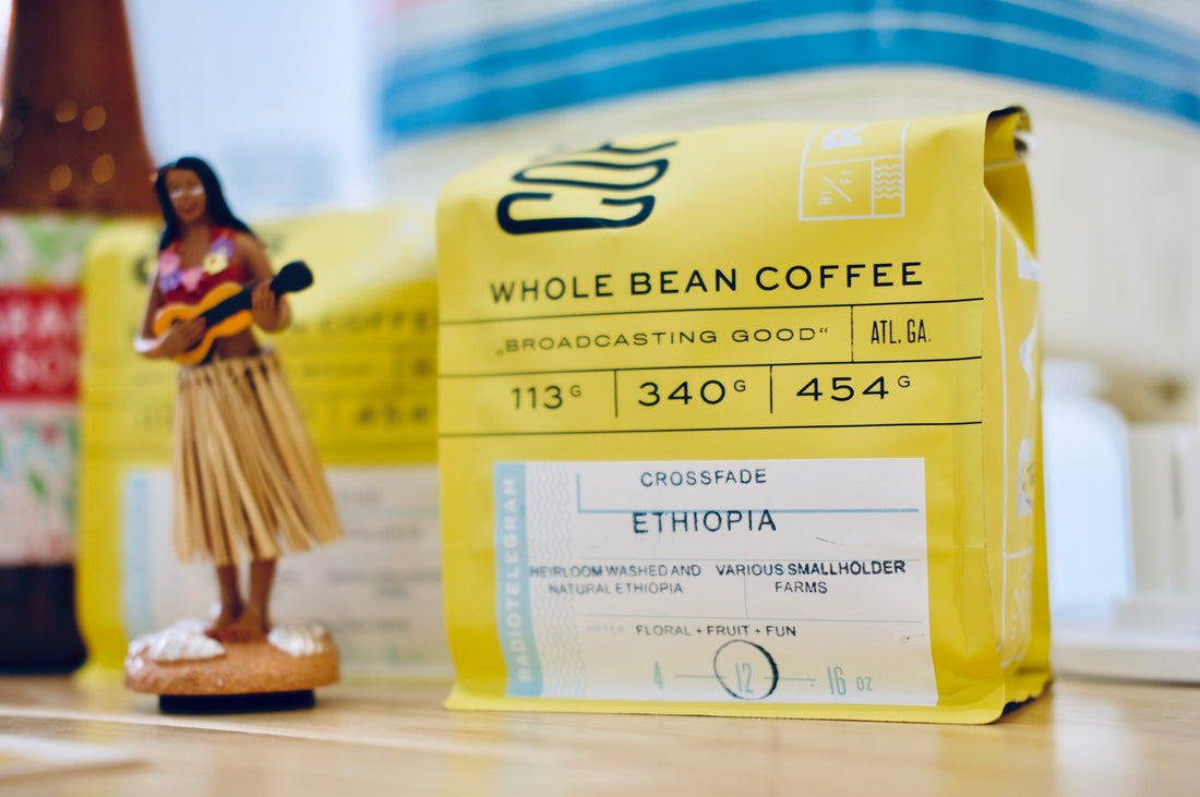 Guest Coffee Roasters at Sightsee in 2019
