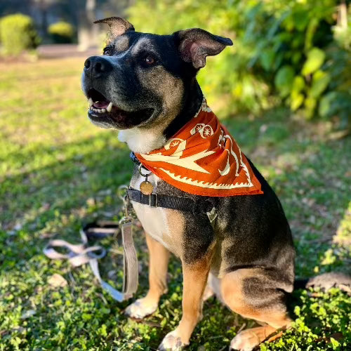 South Carofornia Bandana