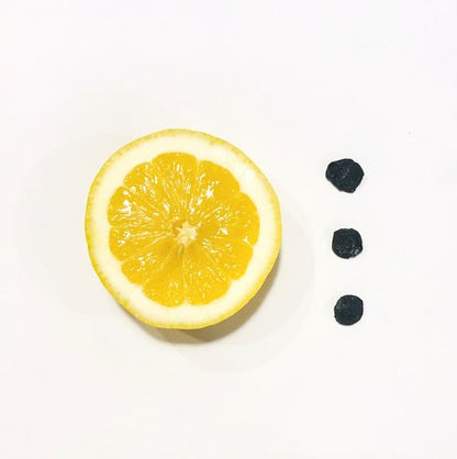 Patterbar: Blueberry + Lemon
